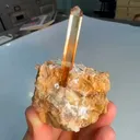 specimen video