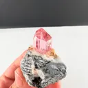 specimen video
