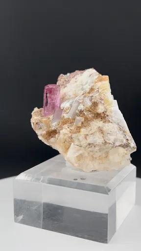 specimen video