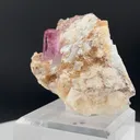 specimen video