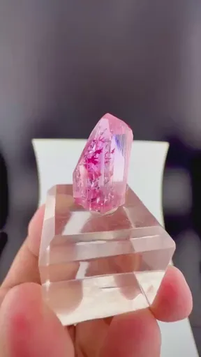 specimen video