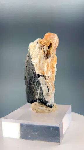 specimen video