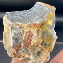 specimen video