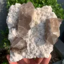 specimen video
