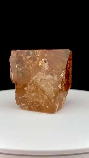 specimen video