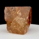 specimen video