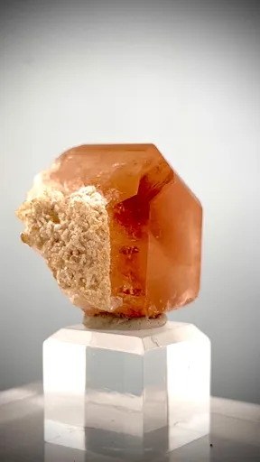 specimen video