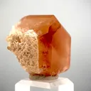 specimen video