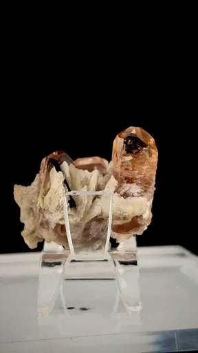 specimen video
