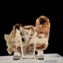 specimen video