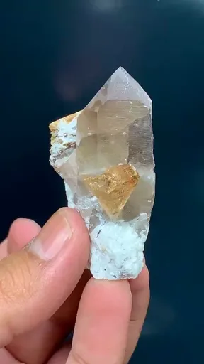 specimen video