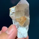 specimen video