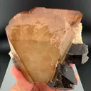 specimen video