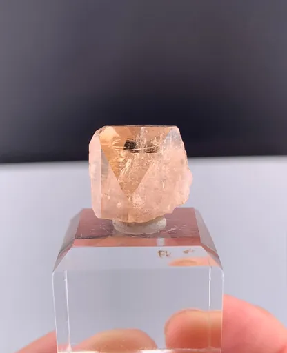 specimen video