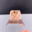 specimen video