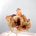 Topaz from Pakistan - image 4