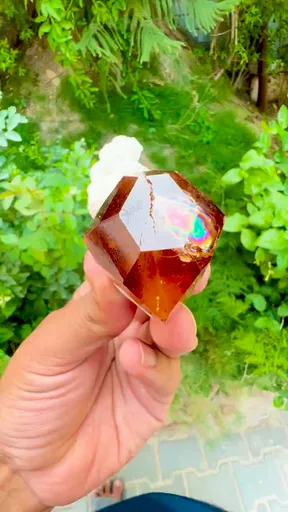 specimen video