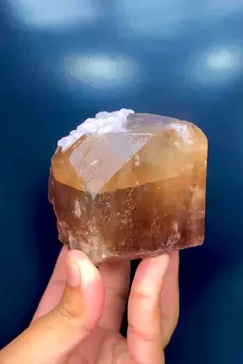 specimen video