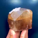 specimen video