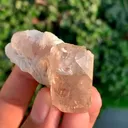 specimen video