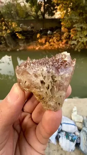 specimen video
