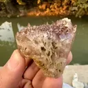 specimen video
