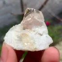 specimen video