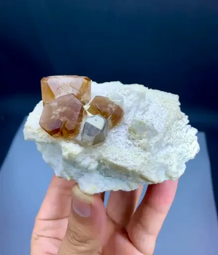 specimen video