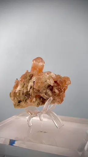 specimen video