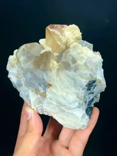 specimen video