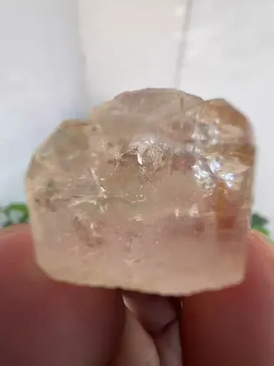 specimen video