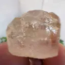 specimen video