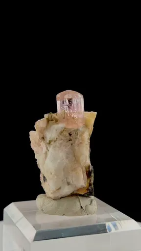 specimen video