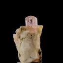specimen video
