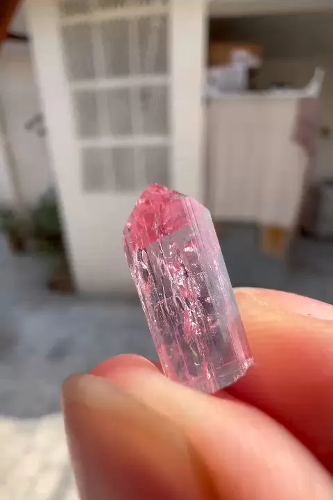 specimen video