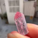 specimen video