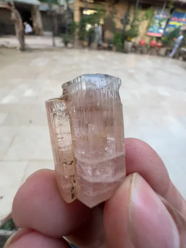 specimen video
