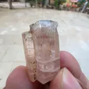 specimen video