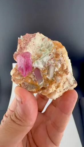 specimen video