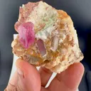 specimen video