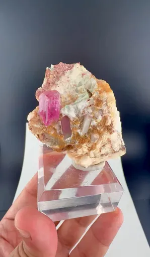 specimen video