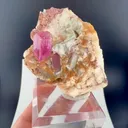 specimen video