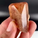 specimen video