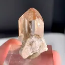 specimen video