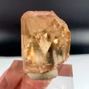 specimen video