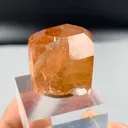 specimen video