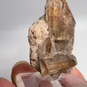 specimen video