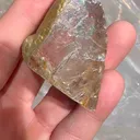 specimen video