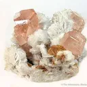 Topaz on Albite - image 1