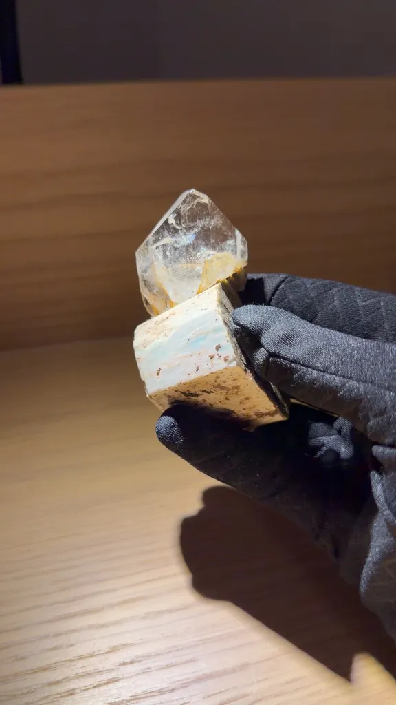 specimen video